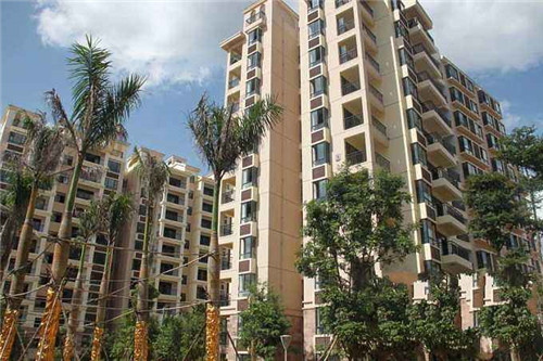 丁丁冒冒菜香锅