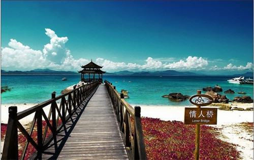 潇洒哥鸭血粉丝