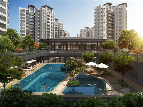 新西兰岩烧乳酪