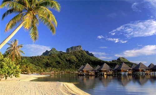 奶茶店怎么保存，奶茶店怎么保存西瓜