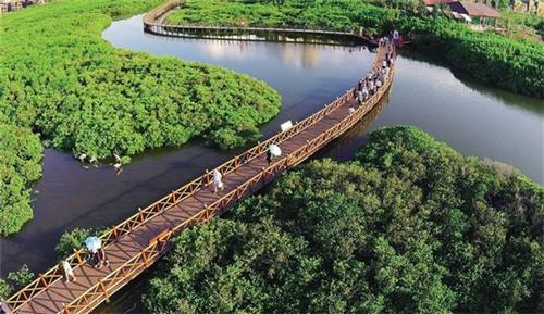 开理发店还是奶茶店好呢女生，开理发店还是奶茶店好呢