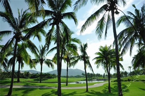 八缘风奶茶加盟在沐川县要求多吗