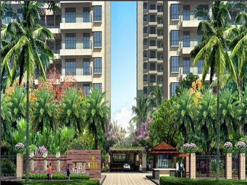 陈皮加盟投资创业哪家品牌好，陈皮连锁店