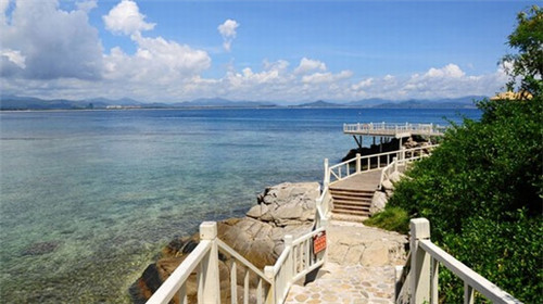 炒素火腿青椒怎么炒（青椒炒素火腿的做法）