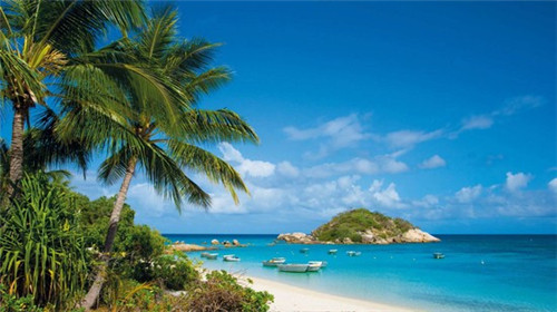 奶茶店品牌古茗怎么样（古茗奶茶在奶茶系排名）