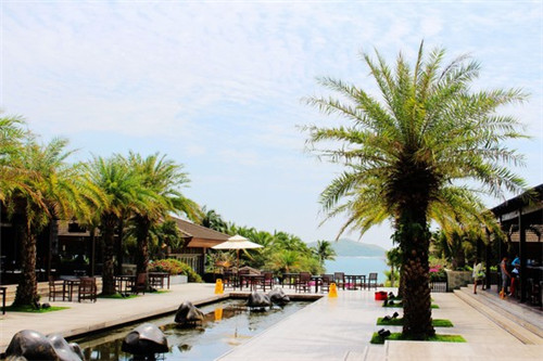 南召庙坡叫什么景点（南召庙坡叫什么景点来着）