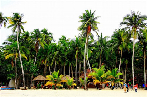 碗厂集镇旅游攻略（碗厂镇派出所电话）