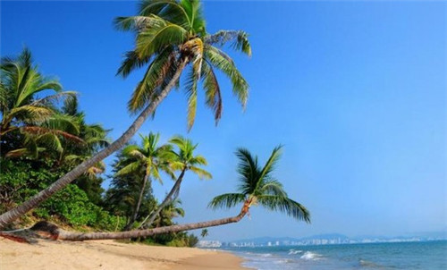 红罗卜炒莲菜可以吃吗（红萝卜炒莲菜）