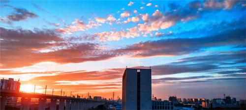 烧螺蛳怎么烧好吃（螺蛳如何烧好吃）