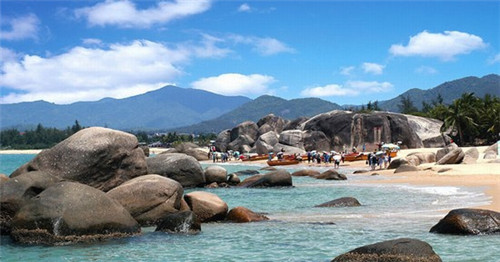 雅茗茶叶和其他品牌对比（雅茗茶是什么）