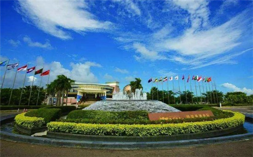 韭菜炒鸡胸沫怎么炒（鸡胸炒韭菜做法大全）