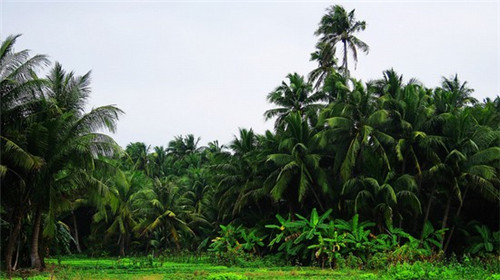 开店铺取名字忌讳吗女人（开店铺取名字大全）